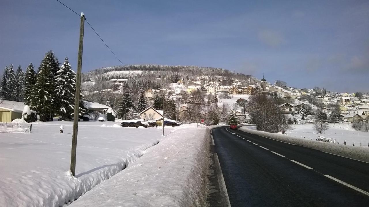 Studio D'Hotes A 10 Km De Gerardmer Le Tholy Exterior photo
