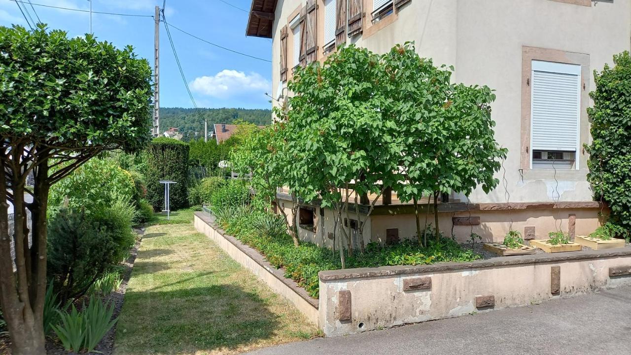 Studio D'Hotes A 10 Km De Gerardmer Le Tholy Exterior photo